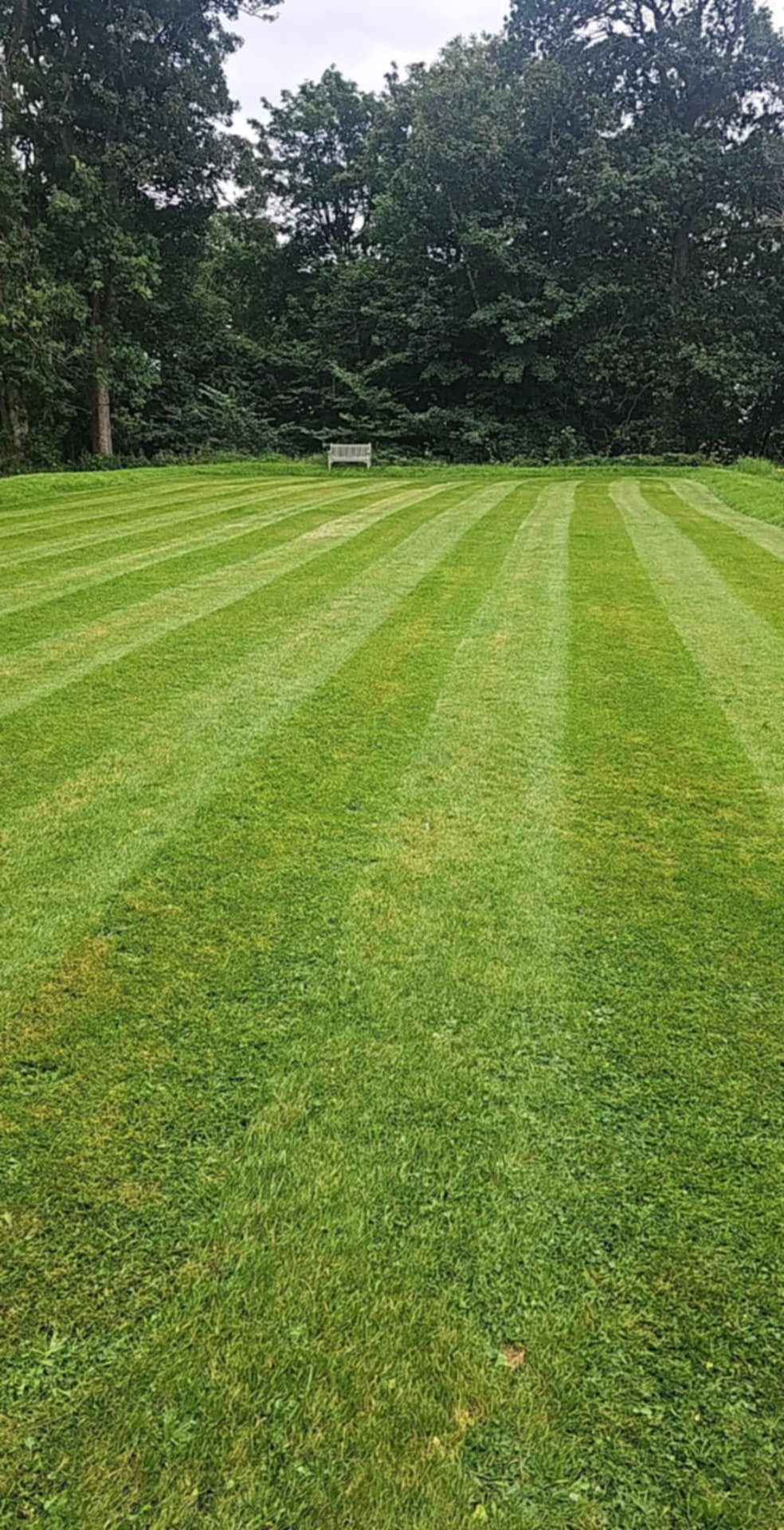 Lawn cutting
